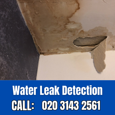 Expert Water Leak Detection Services in Tufnell Park | Tufnell Park Leak Detection